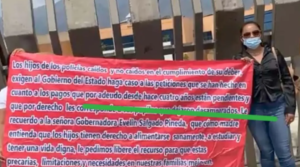 estado viudas
