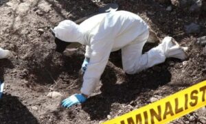 roja trabajo forense