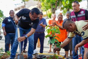 ESTADO SECTUR REFORESTACION (1)