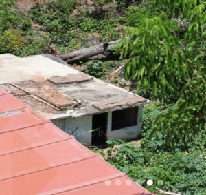 ROJA LA FINCA
