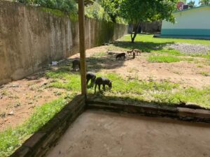SAN LUIS LAS INSTALACIONES (1)