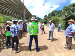 estado capaseg reforestacion (1)