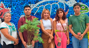estado uagro verde