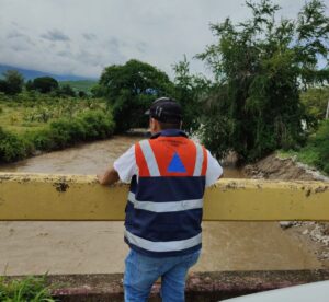 estado vigilancia