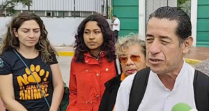 roja José Saúl Gante