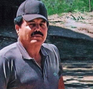 roja ismael el mayo zambada