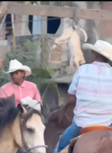 san nicolas los jinetes 1