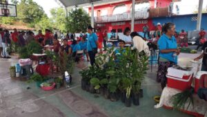 MARQUELIA TIANGUIS CAMPESINO (1)