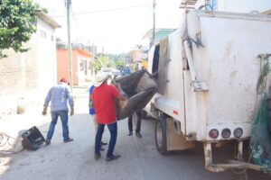 Marquelia Acciones de prevención