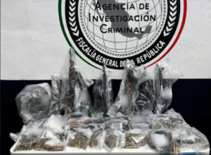 ROJA ARMAS Y CARTUCHOS ASEGURADOS