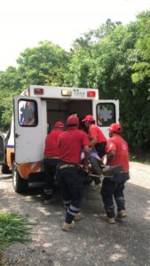 ROJA RECIBIENDO ATENCIÓN (1)