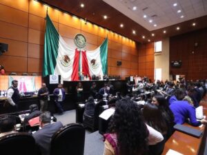nacional camara de diputados