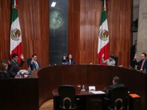 nacional tribunal electoral