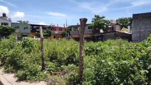 MARQUELIA EL TERRENO (1)