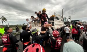 estaod rescatistas voluntarios
