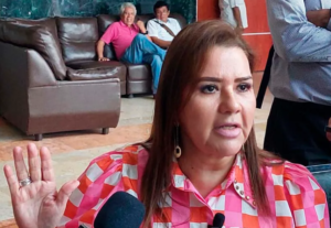 COPALA Erika Luhrs Cortés