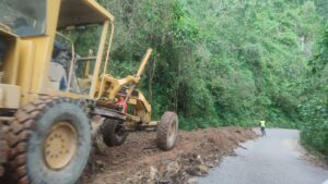 Malinaltepec Retiran exceso de tierra (1)