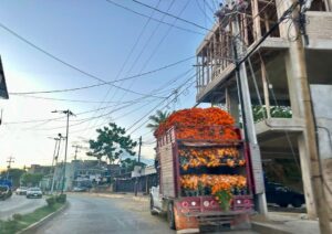 OME La flor de cempasúchil (3)