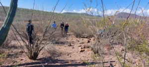 ROJA ENCUENTRAN 8 CUERPOS