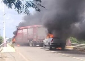 ROJA LOS DAÑOS (1)