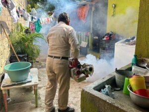 ROJA MUERTES POR DENGUE