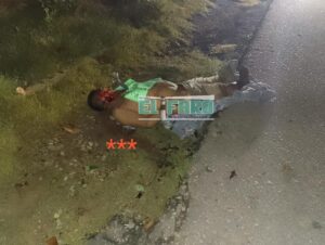 ROJA Sin vida