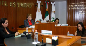 estado caso norma otilia