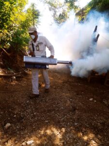 estado dengue (1)