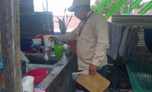 estado dengue