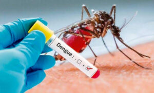 estado dengue