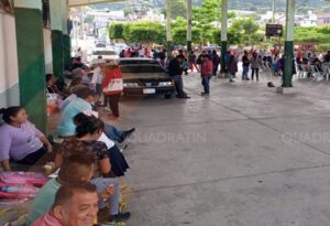 estado pobladores