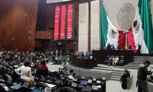 nacional camara de diputados