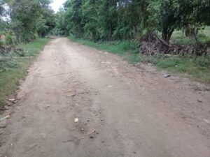 Copala.- Acceso Enrique Rodríguez