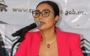 PRINCIPAL Guadalupe García Villalva