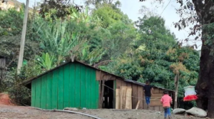 roja Comunidad de Chautipan