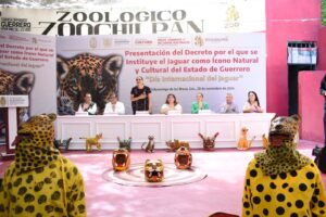 sociales jaguar (1)
