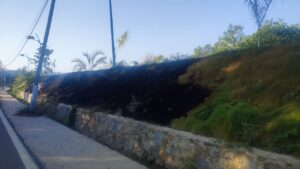 MARQUELIA EL DIQUE (2)