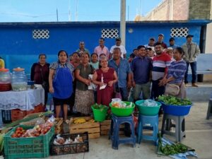 MARQUELIA EQUIPOS DE SEMBRANDO VIDA (1)