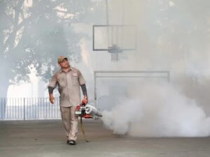 NACIONAL DENGUE