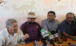 estado representantes