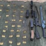roja armas y cartuchos 1