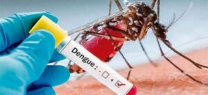 ESTADO DENGUE