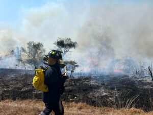 ESTADO INCENDIOS (3)