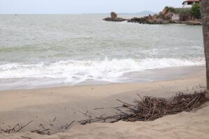 ESTADO MAR DE FONDO