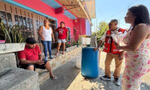 ESTADO MUERTE MASIVA DE PERROS