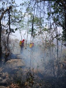 ROJA EL INCENDIO (3)