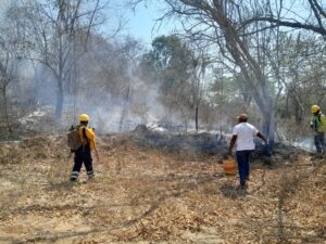 SAN LUIS INCENDIOS (2)