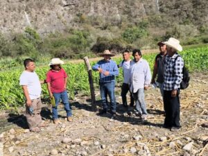 estado agroecologia
