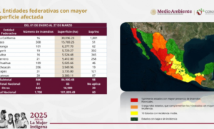 estado graficas