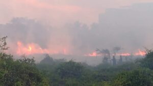 estado incendio barra vieja